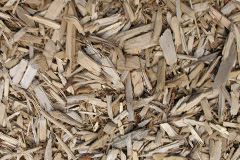 biomass boilers Balbeg